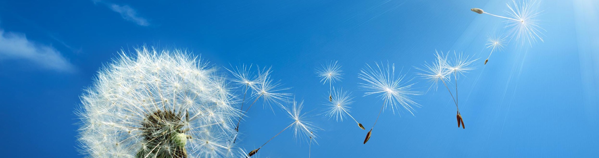 RC Samtalsforum KBT logotyp